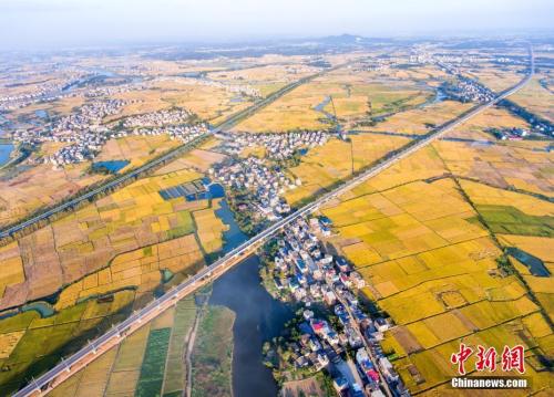 資料圖：航拍通過江西都昌縣金秋田野上的九景衢鐵路。 傅建斌 攝