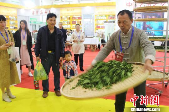 圖為手工制茶展示――搖青?！×珠派?攝