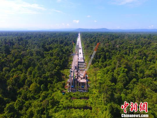 俯拍建設(shè)中的大橋。(中建六局供圖) 鐘欣 攝