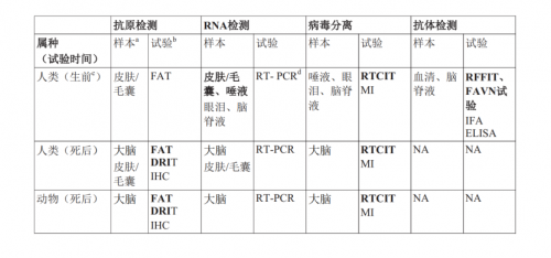 錯(cuò)誤的對(duì)待方法才是導(dǎo)致狂犬病發(fā)最主要的原因