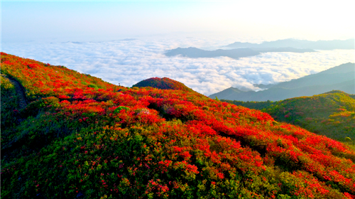 大圍山國(guó)家森林公園