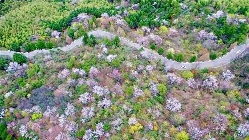 大圍山國(guó)家森林公園