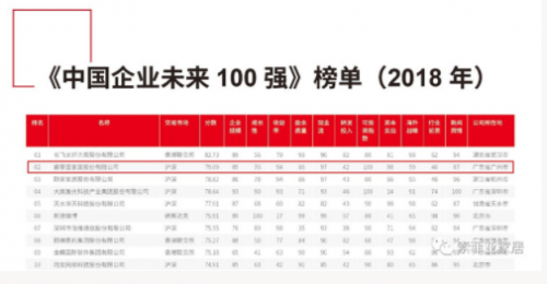 中國(guó)企業(yè)未來(lái)100強(qiáng)榜單