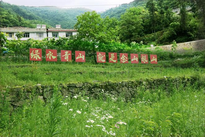 重慶巫山大埡踐行“綠水青山就是金山銀山”理念 