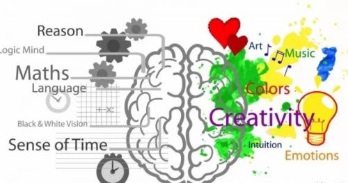 科學(xué)啟蒙、數(shù)感空間——愛貝迪STEM+ 開啟你想要的早期教育