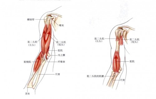 吸塵器