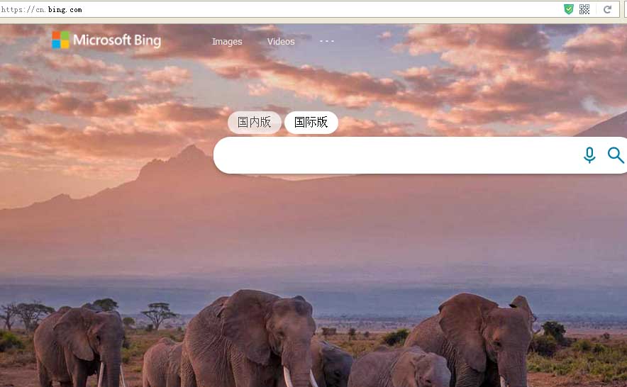 必應(yīng)國際版首頁截圖