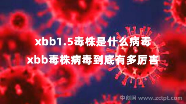 xbb1.5毒株是什么病毒?xbb毒株病毒到底有多厲害(奧密克戎的一個(gè)亞變體)