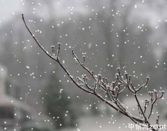 紛紛雪花墜落圖片 Flying snow falling/YA