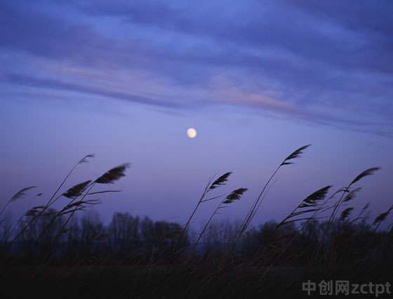 今夜風(fēng)陣陣圖片 evening breeze/YA